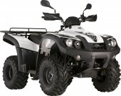 2010 TGB Blade 325LE photo